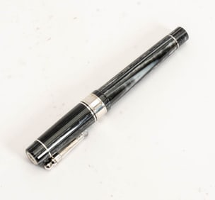 Delta 'Terna' Fountain Pen