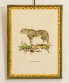 After Giuseppe Vallardi