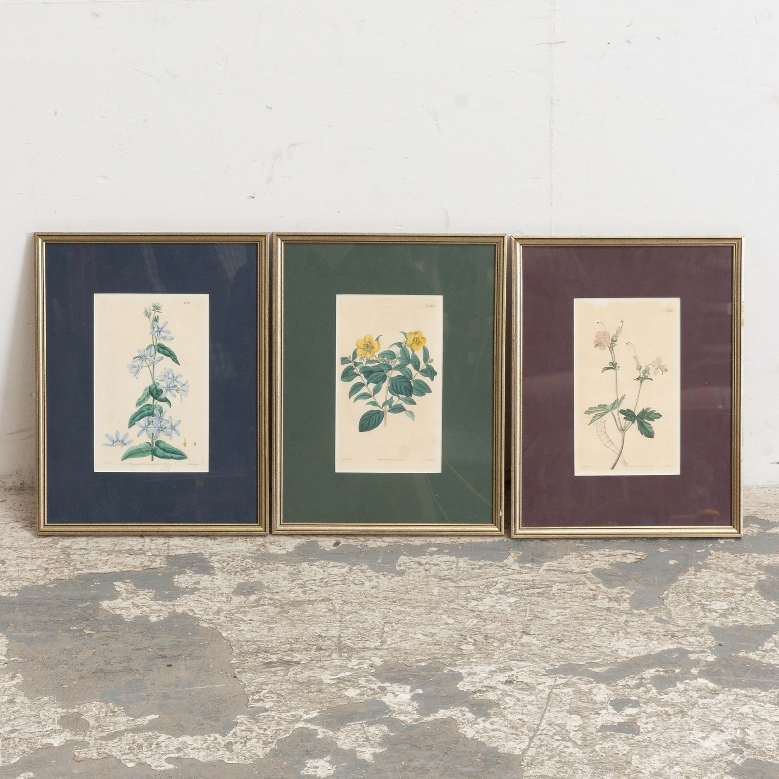 W.M. Curtis : Three (1 of 8)