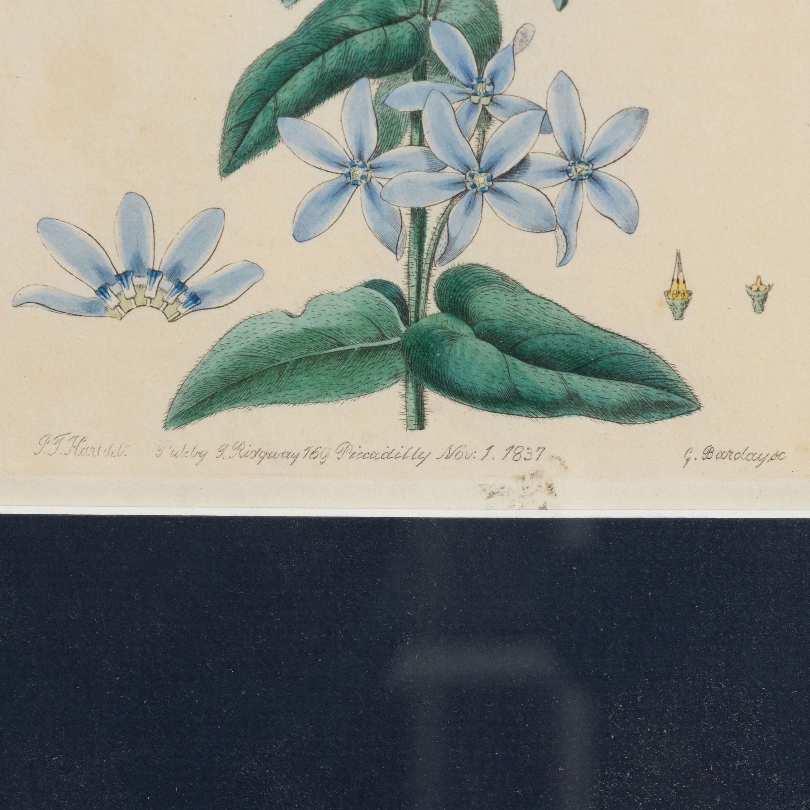 W.M. Curtis : Three - 3