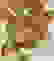 item-52440473=3