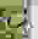 item-52440484=3