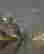 item-55709379=3