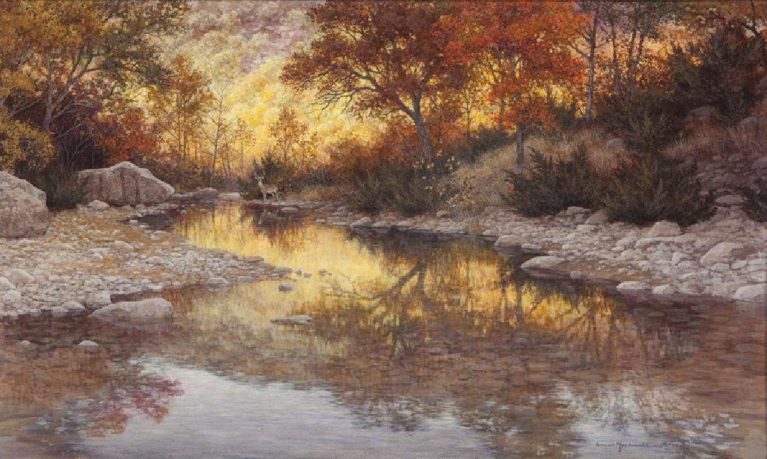 Grant Macdonald "Untitled (Stream at sunset with (1 of 7)