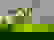 item-532865=2