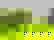 item-532865=3