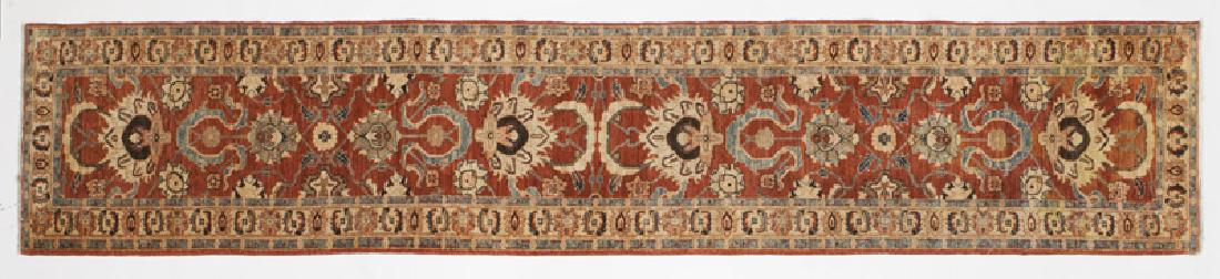 Pakistan runner, (1 of 2)