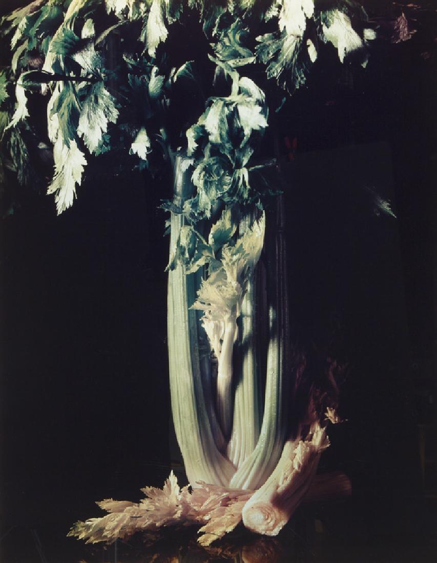 Will Rousseau "Celery" Type C Print, 1993. (1 of 5)