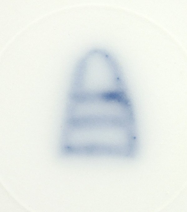 Vienna style porcelain plate, the cobalt border - 2