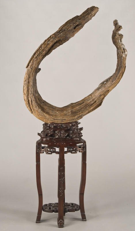 Chinese naturalistic root wood specimen