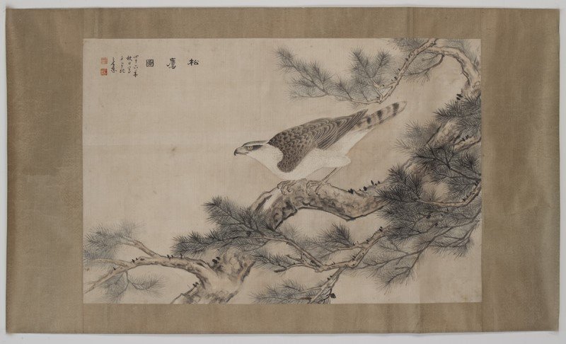 Chinese watercolor painted scroll: by Sun Duoci (1913-1975), student of Xu Beihong, depicting a falcon standing on a pine tree. Dated 1957. PROVENANCE: From the Estate of Hang Li Wu (1903-1991), the former Minister of the Education Dep