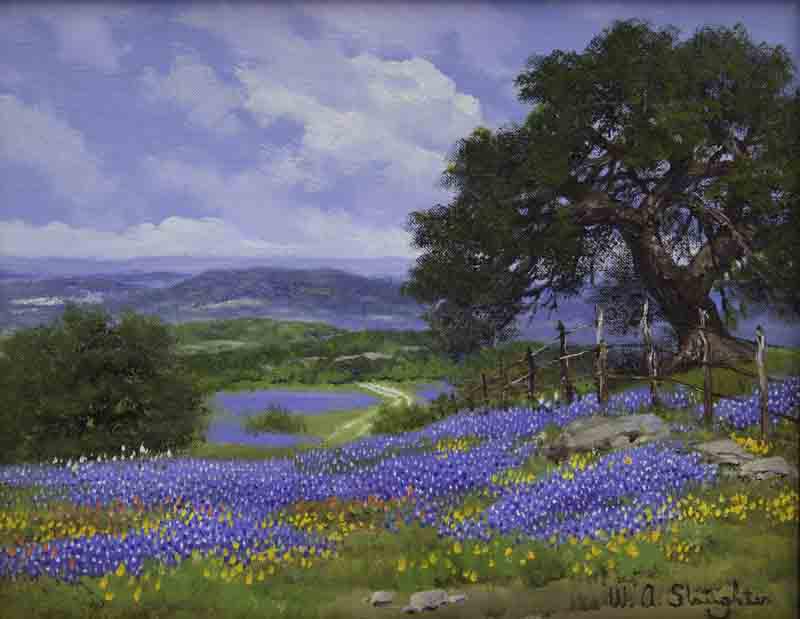 William Slaughter "Untitled (Texas bluebonnets)" (1 of 6)