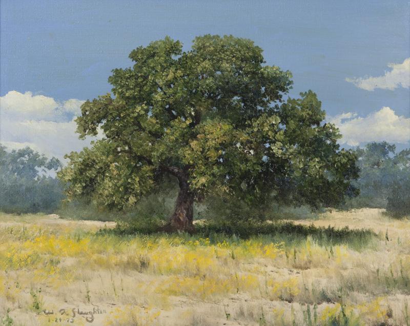 William Slaughter "District Court Tree: William Slaughter "District Court Tree Near Weatherford" oil on canvas. Signed lower left, "W.A. Slaughter". Canvas: 16"H x 20"W; Frame: 23.25"H x 27.25"W. William A. Slaughter (American, 1923 - 2003)