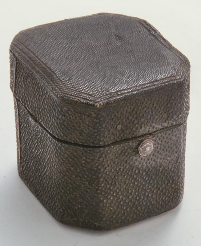 Antique shagreen cased brass scarificator (1 of 9)