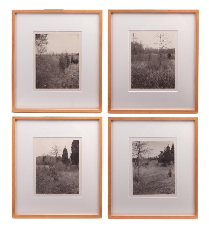 Jan Groover "Plain Fields" platinum print (1 of 8)