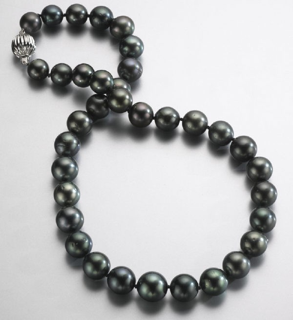 14K gold and Tahitian pearl necklace: having 35 Tahitian cultured pearls graduating in size from 10.0mm to 13.0mm. Clasp stamped, "585". 77.1 grams. 17"L, Circa - 20th C.