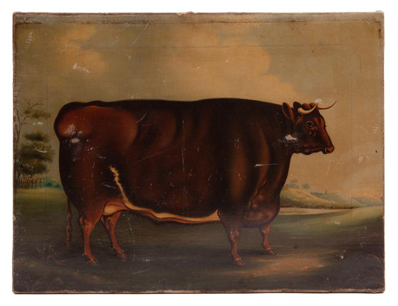 Early Victorian primitive painting of a prize cow (1 of 6)