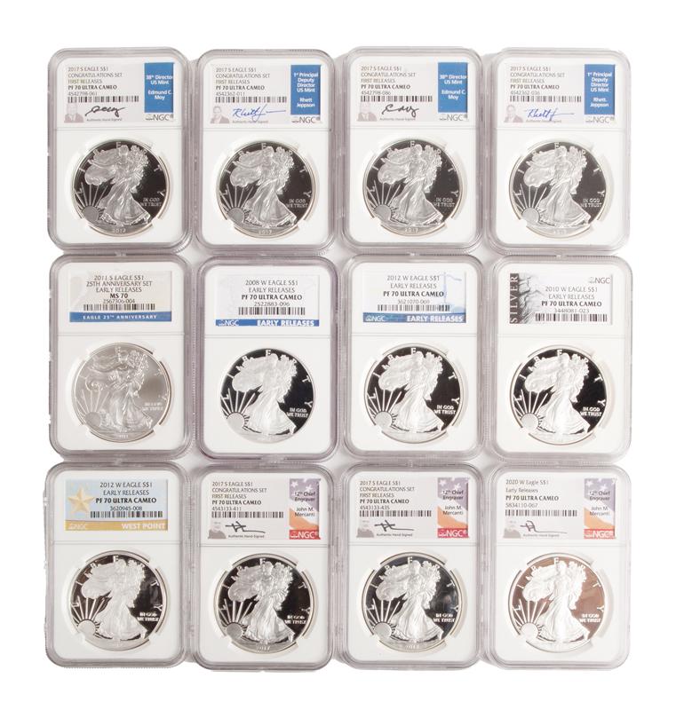 US 1 oz Silver Eagle Group (12) (1 of 4)