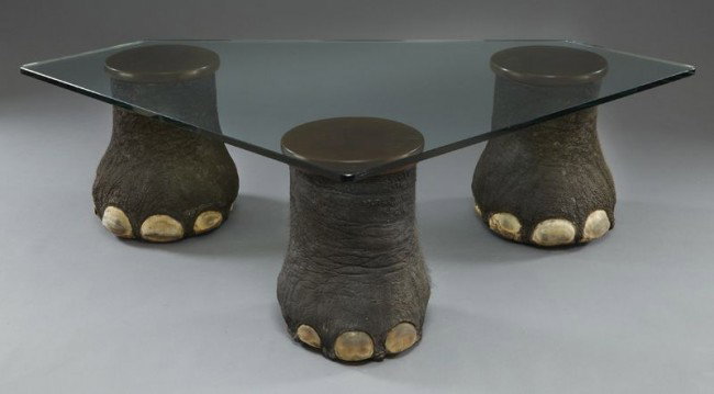 Taxidermy Elephant's foot glass coffee table,: (This item cannot be shipped internationally) the table resting on three elephant's feet. 19.25"H x 72"W x 45.75"D, Circa - Mid 20th C.