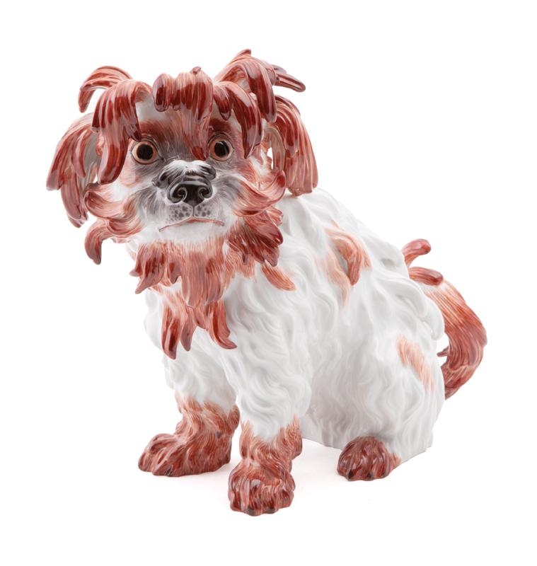 Meissen porcelain figure of a Bolognese dog (1 of 9)