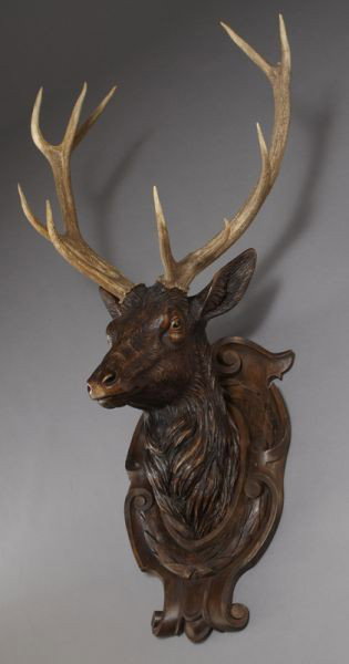 Black Forest carved stag's head: Black Forest carved stag's head having five-point antlers, on a carved shield backplate. 58''L x 29.75''W, Circa - Late 19th C.