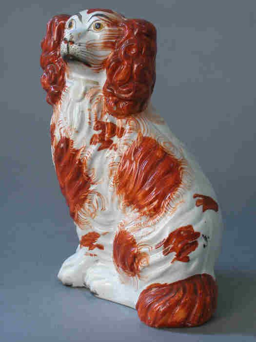 Staffordshire red and white dog with cur - 3