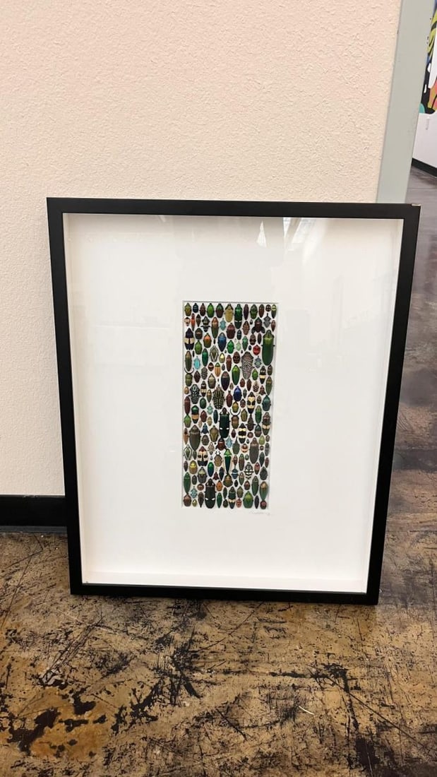 Coleoptera Mosaic (1 of 2)