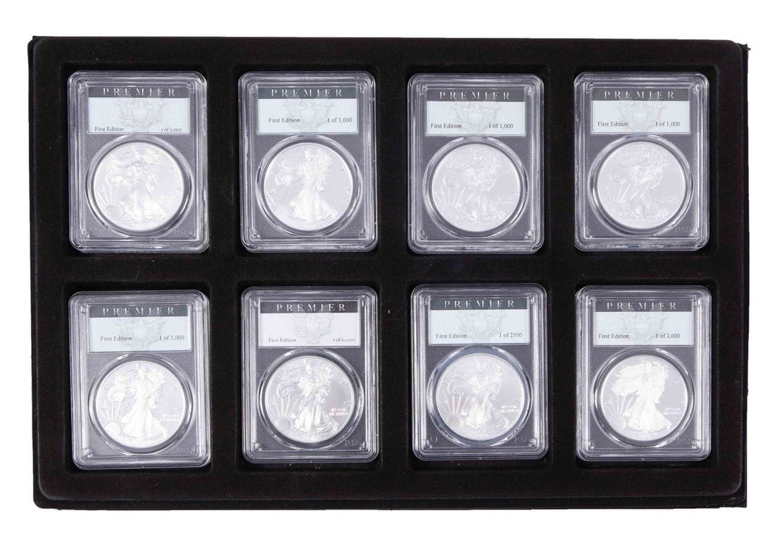 8 Silver Eagle Coins - PCGS Graded (1 of 4)