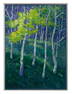 David A. Williams Oil on Canvas Aspen Glow