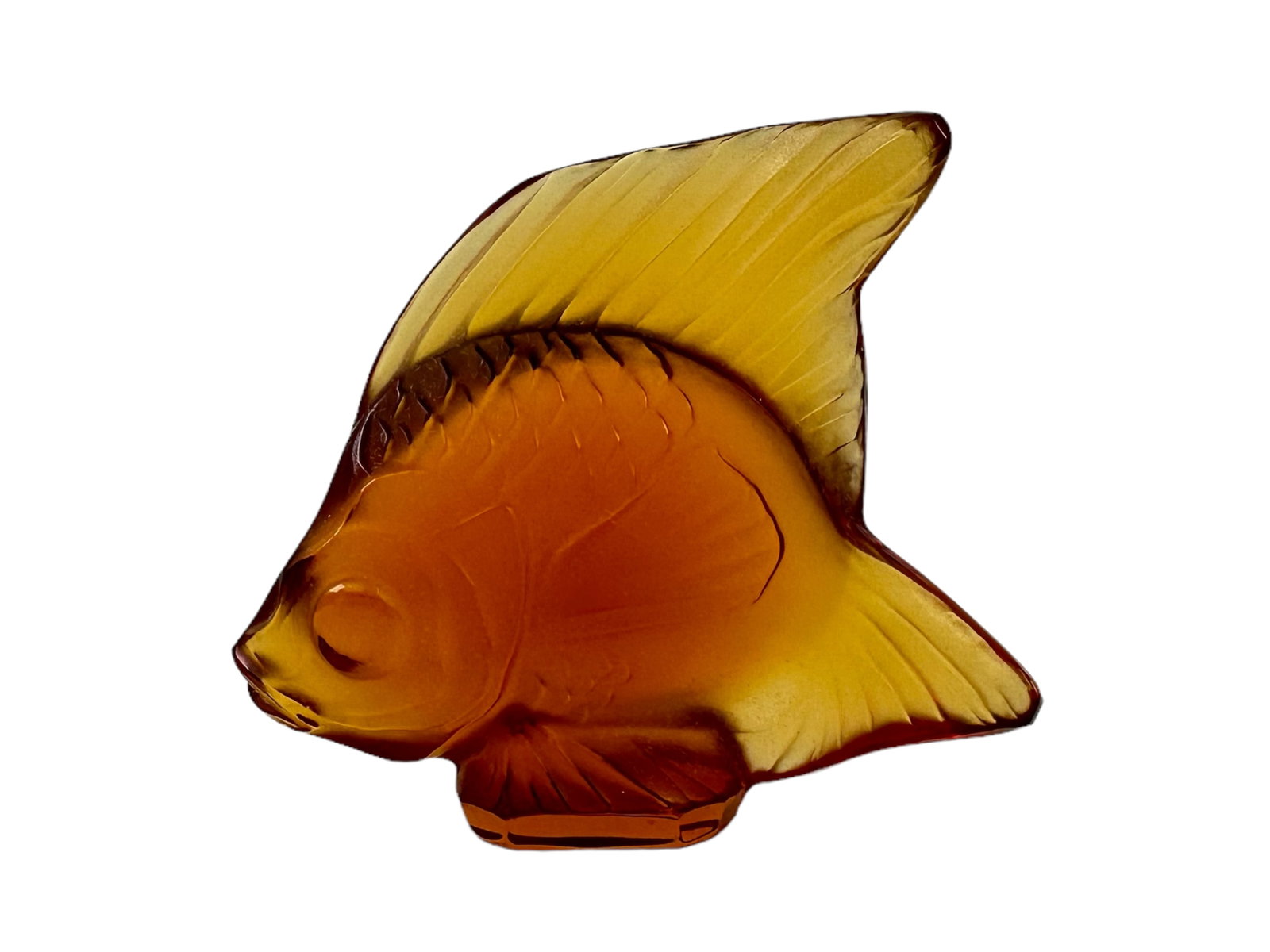 LALIQUE GLASS FISH FIGURINE: In amber, with original dust bag and packaging. Marked Lalique France on base. Figurine measuring H 1.75 W 8 in Box measuring H 1.75 W 4 D 2.5 in In pristine condition. Provenance: Private Chicago Col