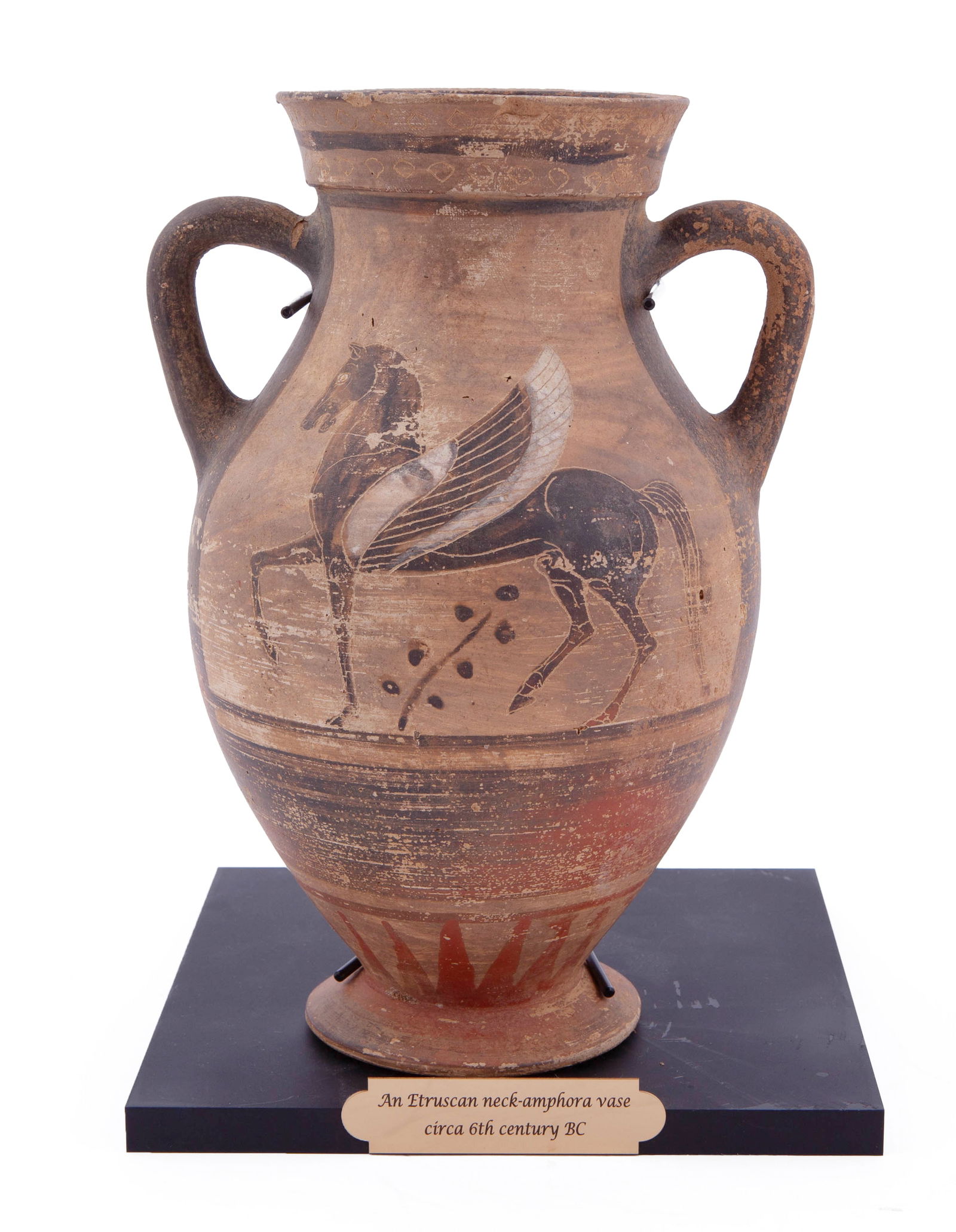 Etruscan Black Figured Neck Amphora (1 of 9)