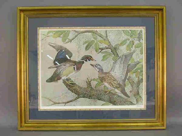 Signed Basil Ede print titled Wood Duck: the print is signed on the matt (LR) and on the print (LL). The print is number edition 584/750. Site: 24"H x 32"W; Frame: 36"H x 43"W, Circa - 20th C.