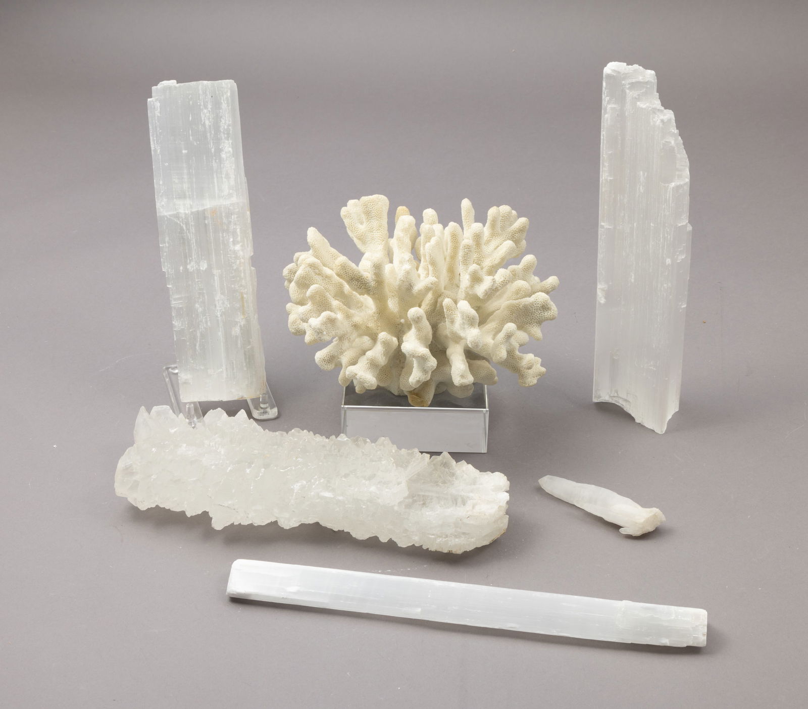 Five Large Pieces of Selenite and a Cauliflower Coral (1 of 5)