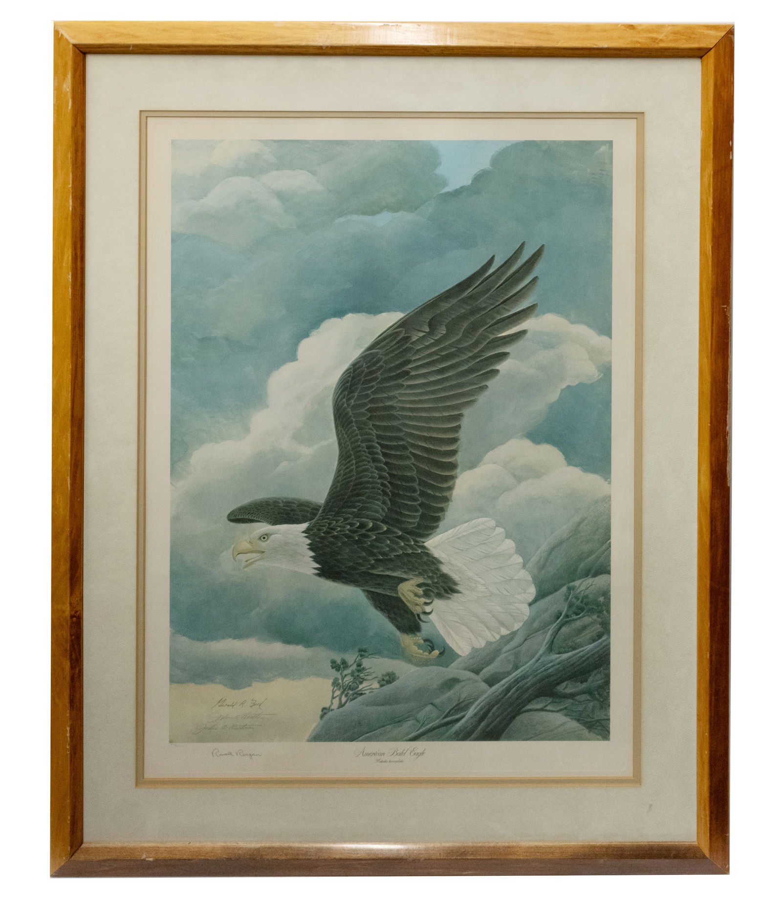 John A Ruthven, American Bald Eagle Print, Signed by Presidents Gerald R Ford and Ronald Reagan (1 of 5)