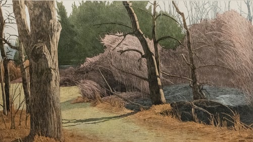 Tony Rosati, Tyler Park II, Etching on Paper