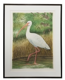 John Costin, Large Florida Bird White Ibis, Colored Lithograph