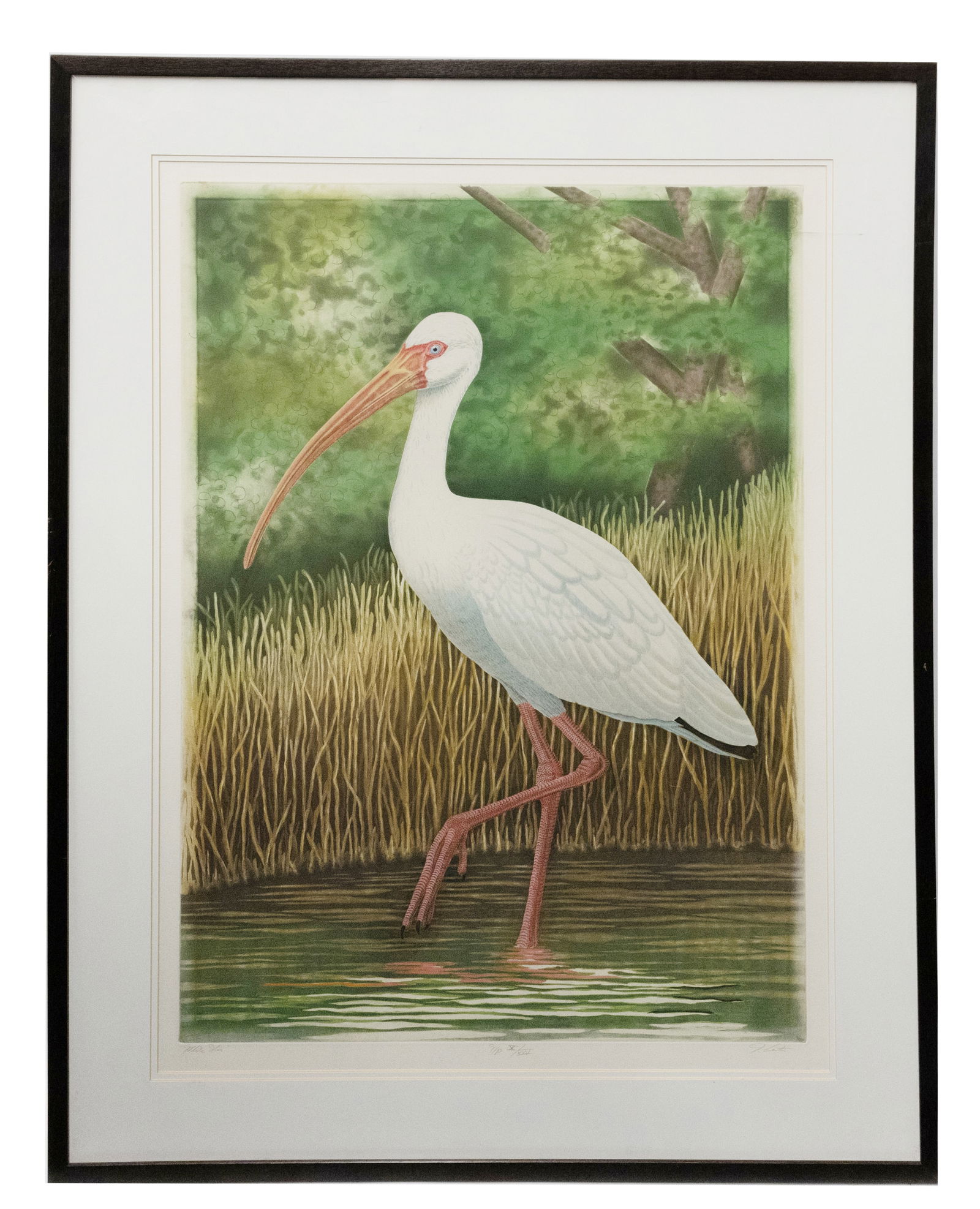 John Costin, Large Florida Bird White Ibis, Colored Lithograph (1 of 6)