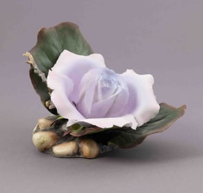 Boehm Bone Porcelain, Angel Face Rose with Bergenia Leaves
