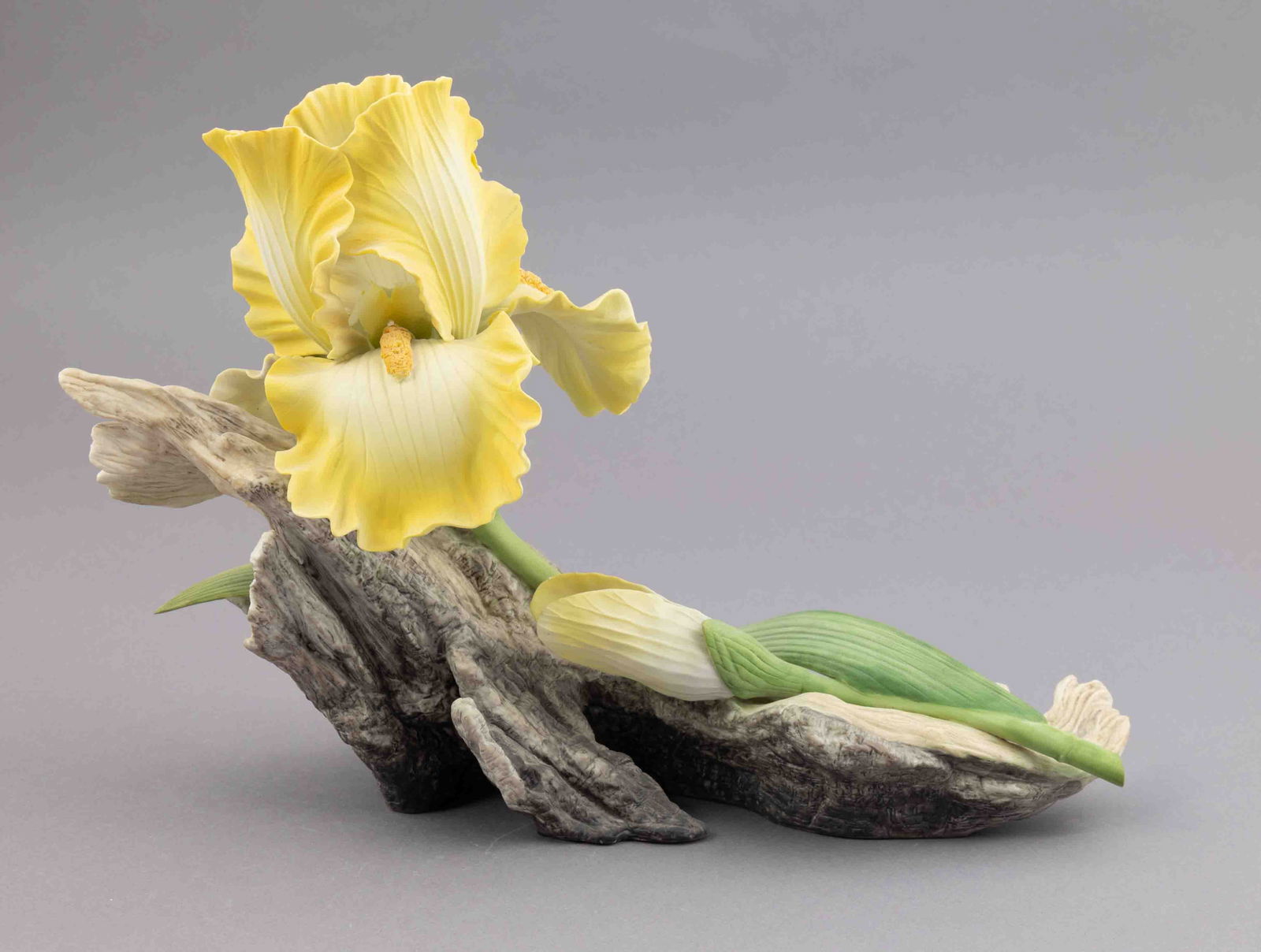 Boehm Bone Porcelain Flower, Helen Bohem Yellow Iris: Boehm bone porcelain floral figurine of yellow iris. Marked on underside. Measuring H 9 W 12 inches approx. Condition: good.