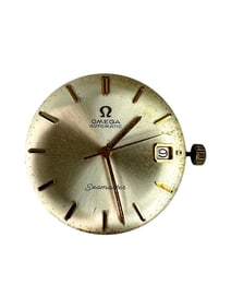 Omega Seamaster Automatic Case & Movement