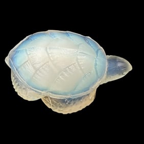 Sabino Opalescent Turtle