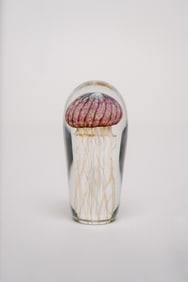 Richard Satava Jellyfish Art Glass Paperweight Circa 2008