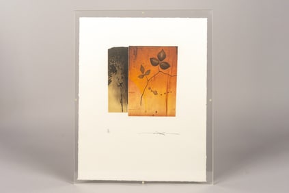 Araki Shinko, Leafy Shade XI, Etching/Aquatint