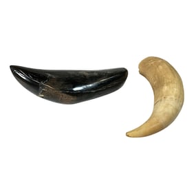 Pairing of Signed Polished Horns