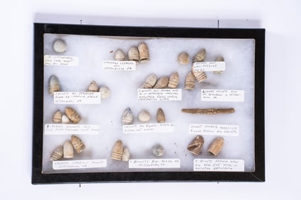 Collection of 30 Civil War Bullets in Case