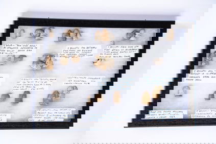 Collection of 23 Civil War Bullets in Case