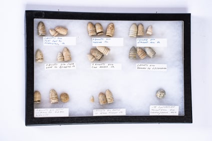 Collection of 25 Civil War Bullets in Case