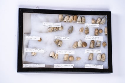 Collection of 36 Civil War Bullets in Case
