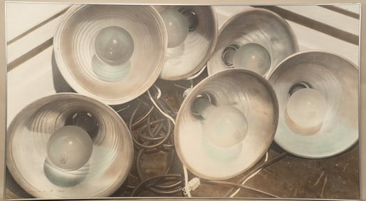 Russell Drisch, American, 1944, Clip - On III, Photograph
