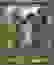 item-36891400=2